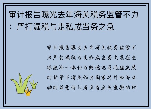 审计报告曝光去年海关税务监管不力：严打漏税与走私成当务之急