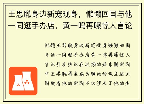 王思聪身边新宠现身，懒懒回国与他一同逛手办店，黄一鸣再曝惊人言论引发热议