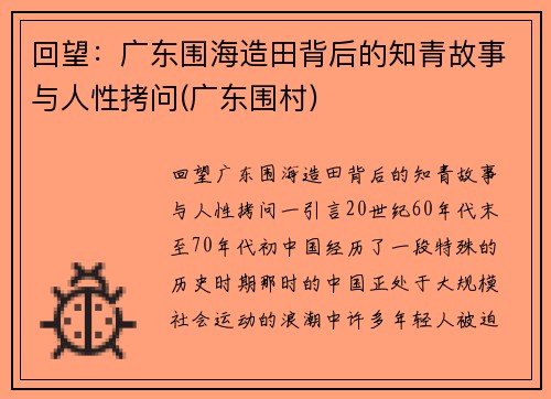 回望：广东围海造田背后的知青故事与人性拷问(广东围村)
