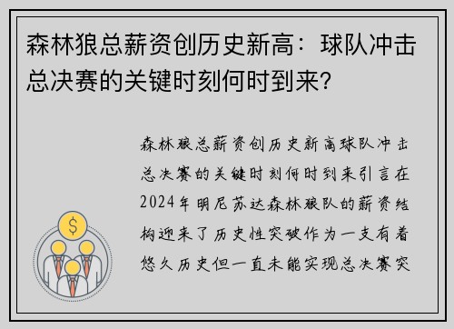森林狼总薪资创历史新高：球队冲击总决赛的关键时刻何时到来？
