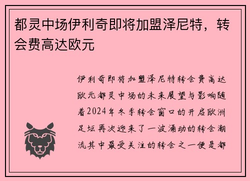 都灵中场伊利奇即将加盟泽尼特，转会费高达欧元