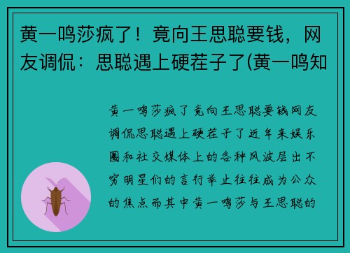 黄一鸣莎疯了！竟向王思聪要钱，网友调侃：思聪遇上硬茬子了(黄一鸣知乎)